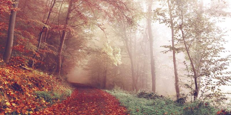 决胜复杂集成：PROFINET与EtherCAT等主流工业现场总线选型指南与性能深度解析