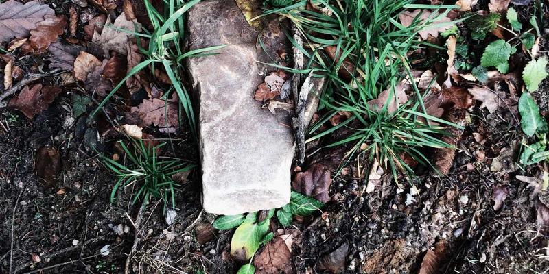 智能进化：基于强化学习的泵阀群控如何为工业节能开启新纪元？